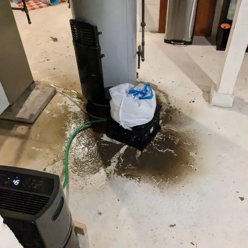 Sewage Backup Cleanup Service in Bessemer, PA